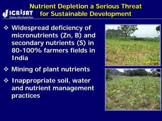 Nepal kathmandu wani