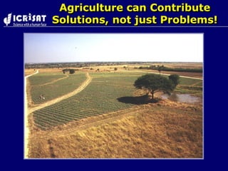 Nepal kathmandu wani