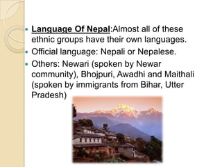  Language Of Nepal:Almost all of these
  ethnic groups have their own languages.
 Official language: Nepali or Nepalese.
 Others: Newari (spoken by Newar
  community), Bhojpuri, Awadhi and Maithali
  (spoken by immigrants from Bihar, Utter
  Pradesh)
 