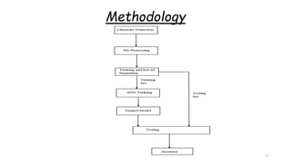 Methodology
12
 