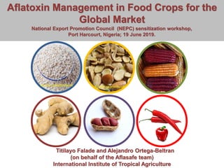 www.iita.org I www.cgiar.org
Source: nigerianfoodtvSource: globalfoodbook
Aflatoxin Management in Food Crops for the
Global Market
National Export Promotion Council (NEPC) sensitization workshop,
Port Harcourt, Nigeria; 19 June 2019.
Titilayo Falade and Alejandro Ortega-Beltran
(on behalf of the Aflasafe team)
International Institute of Tropical Agriculture
 