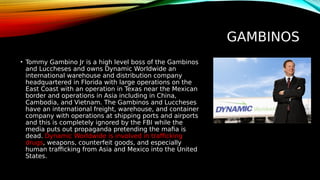 GAMBINOS
• Tommy Gambino Jr is a high level boss of the Gambinos
and Luccheses and owns Dynamic Worldwide an
international warehouse and distribution company
headquartered in Florida with large operations on the
East Coast with an operation in Texas near the Mexican
border and operations in Asia including in China,
Cambodia, and Vietnam. The Gambinos and Luccheses
have an international freight, warehouse, and container
company with operations at shipping ports and airports
and this is completely ignored by the FBI while the
media puts out propaganda pretending the mafia is
dead. Dynamic Worldwide is involved in trafficking
drugs, weapons, counterfeit goods, and especially
human trafficking from Asia and Mexico into the United
States.
 