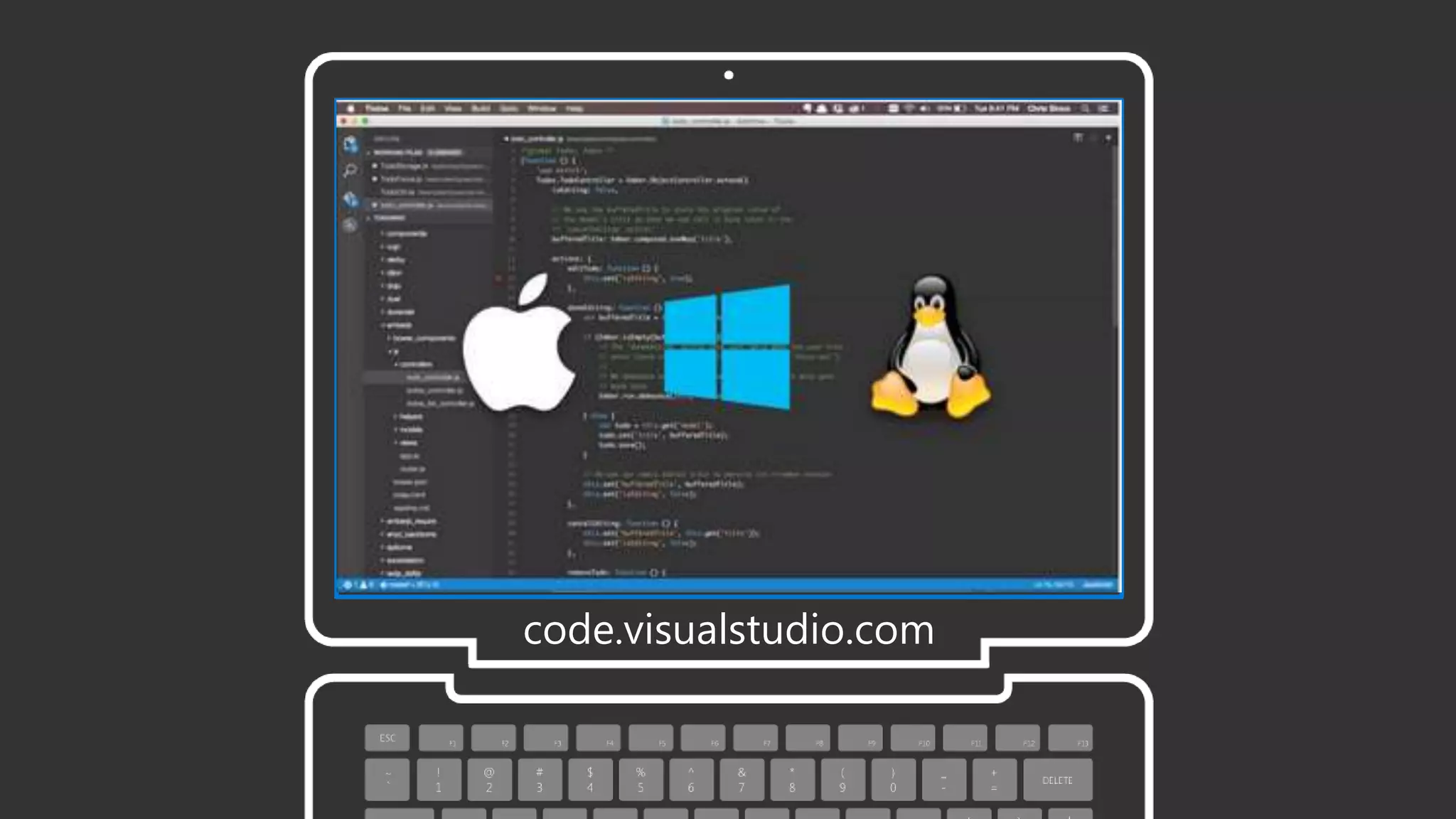 code.visualstudio.com
 