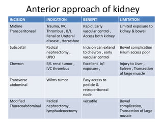 Anterior approach of kidney
INCISION INDICATION BENEFIT LIMITATION
Midline
Transperitoneal
Trauma, IVC
Thrombus , B/L
Renal or Ureteral
disease , Horseshoe
Rapid ,Early
vascular control ,
Access both kidney
Limited exposure to
kidney & bowel
Subcostal Radical
nephrectomy ,
UPJO
Incision can extend
to chevron , early
vascular control
Bowel complication
Hilum access poor
Chevron B/L renal tumor ,
IVC thrombus
Excellent b/l
exposure ,
Injury to Liver ,
Spleen , Transection
of large muscle
Transverse
abdominal
Wilms tumor Easy access to
pedicle &
retroperitoneal
node
Modified
Thoracoabdominal
Radical
nephrectomy ,
lymphadenectomy
versatile Bowel
complication,
Transection of large
muscle
 