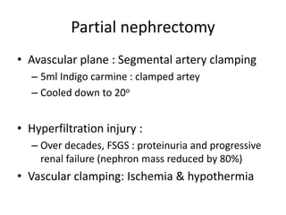 Partial nephrectomy
• Avascular plane : Segmental artery clamping
– 5ml Indigo carmine : clamped artey
– Cooled down to 20o
• Hyperfiltration injury :
– Over decades, FSGS : proteinuria and progressive
renal failure (nephron mass reduced by 80%)
• Vascular clamping: Ischemia & hypothermia
 