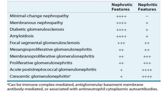 Hypernephroid Pattern 4 APPROACH TO NEPHRITIC SYNDROME | PPTX
