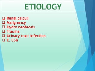  Renal calculi
 Malignancy
 Hydro nephrosis
 Trauma
 Urinary tract infection
 E. Coli
 