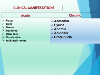  Fewer
 Chills
 Nausea
 Headache
 Flank pain
 Cloudy urine
 Foul smell – urine
Azotemia
Pyuria
Anemia
Acidosis
Proteinuria
 
