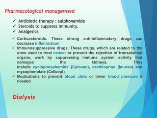Pharmacological management
 Antibiotic therapy : sulphonamide
 Steroids to suppress immunity.
 Analgesics
 Corticosteroids. These strong anti-inflammatory drugs can
decrease inflammation
 Immunosuppressive drugs. These drugs, which are related to the
ones used to treat cancer or prevent the rejection of transplanted
organs, work by suppressing immune system activity that
damages the kidneys. They
include cyclophosphamide (Cytoxan), azathioprine (Imuran) and
mycophenolate (Cellcept)
 Medications to prevent blood clots or lower blood pressure if
needed
Dialysis
 