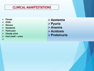  Fewer
 Chills
 Nausea
 Headache
 Flank pain
 Cloudy urine
 Foul smell – urine

Azotemia
Pyuria
Anemia
Acidosis
Proteinuria
 