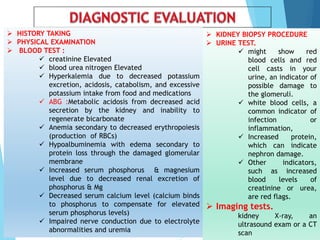 HISTORY TAKING
 PHYSICAL EXAMINATION
 BLOOD TEST :
 creatinine Elevated
 blood urea nitrogen Elevated
 Hyperkalemia due to decreased potassium
excretion, acidosis, catabolism, and excessive
potassium intake from food and medications
 ABG :Metabolic acidosis from decreased acid
secretion by the kidney and inability to
regenerate bicarbonate
 Anemia secondary to decreased erythropoiesis
(production of RBCs)
 Hypoalbuminemia with edema secondary to
protein loss through the damaged glomerular
membrane
 Increased serum phosphorus & magnesium
level due to decreased renal excretion of
phosphorus & Mg
 Decreased serum calcium level (calcium binds
to phosphorus to compensate for elevated
serum phosphorus levels)
 Impaired nerve conduction due to electrolyte
abnormalities and uremia
 KIDNEY BIOPSY PROCEDURE
 URINE TEST.
 might show red
blood cells and red
cell casts in your
urine, an indicator of
possible damage to
the glomeruli.
 white blood cells, a
common indicator of
infection or
inflammation,
 Increased protein,
which can indicate
nephron damage.
 Other indicators,
such as increased
blood levels of
creatinine or urea,
are red flags.
 Imaging tests.
kidney X-ray, an
ultrasound exam or a CT
scan
 