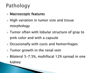  Macroscopic features
 High variation in tumor size and tissue
morphology
 Tumor often with lobular structure of gray to
pink color and with a capsule
 Occasionally with cysts and hemorrhages
 Tumor growth in the renal vein
 Bilateral 5–7.5%, multifocal 12% spread in one
kidney
 