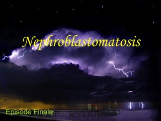 Nephroblastomatosis
Episode Finale
 