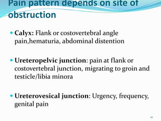 Pain pattern depends on site of
obstruction
 Calyx: Flank or costovertebral angle
pain,hematuria, abdominal distention
 Ureteropelvic junction: pain at flank or
costovertebral junction, migrating to groin and
testicle/libia minora
 Ureterovesical junction: Urgency, frequency,
genital pain
20
 