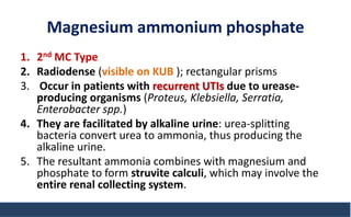 Magnesium ammonium phosphate
1. 2nd MC Type
2. Radiodense (visible on KUB ); rectangular prisms
3. Occur in patients with recurrent UTIs due to urease-
producing organisms (Proteus, Klebsiella, Serratia,
Enterobacter spp.)
4. They are facilitated by alkaline urine: urea-splitting
bacteria convert urea to ammonia, thus producing the
alkaline urine.
5. The resultant ammonia combines with magnesium and
phosphate to form struvite calculi, which may involve the
entire renal collecting system.
 