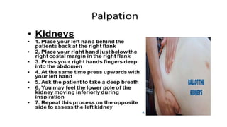 Nephrological assessment