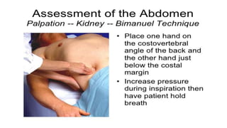 Nephrological assessment