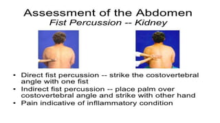 Nephrological assessment
