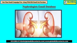 Nephrologists Email Database
816-286-4114|info@globalb2bcontacts.com| www.globalb2bcontacts.com
 