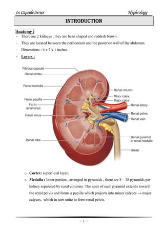 In Capsule SeriesIn Capsule SeriesIn Capsule SeriesIn Capsule Series NephrologyNephrologyNephrologyNephrology
-1-
INTRODUCTIONINTRODUCTIONINTRODUCTIONINTRODUCTION
Anatomy :
- There are 2 kidneys , they are bean shaped and reddish brown.
- They are located between the peritoneum and the posterior wall of the abdomen.
- Dimensions : 4 x 2 x 1 inches.
- Layers :
o Cortex: superficial layer.
o Medulla : Inner portion , arranged in pyramids , there are 8 – 18 pyramids per
kidney separated by renal columns. The apex of each pyramid extends toward
the renal pelvis and forms a papilla which projects into minor calyces → major
calyces, which in turn unite to form renal pelvis.
 