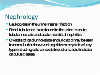 Nephrology Leukocytes in the urine means infection Renal tubular cells are found in the urine in acute tubular necrosis and acute interstitial nephritis  Crystals of calcium oxalate and uric acid may be seen in normal urine however large bizarre crystals of any type including calcium oxalate and uric acid indicate calculus disease. 