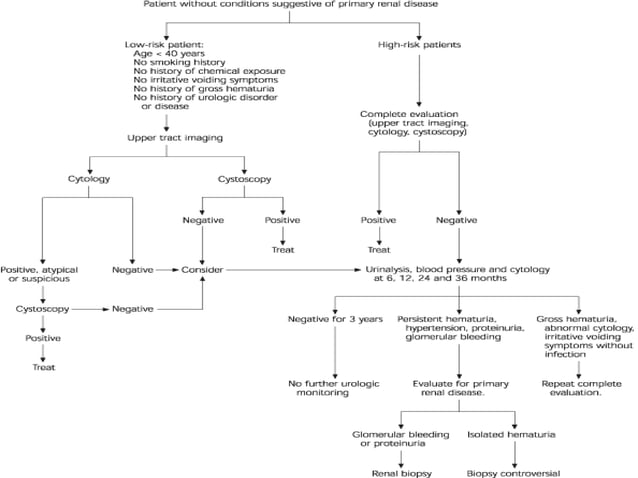 Nephrology - ARCHER USMLE STEP 3 | PPT