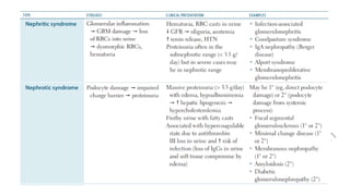 Comprehensive Overview of Acute Kidney Injury and Glomerulonephritis in ...