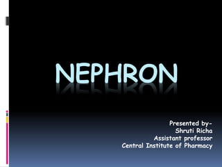 NEPHRON
Presented by-
Shruti Richa
Assistant professor
Central Institute of Pharmacy
 