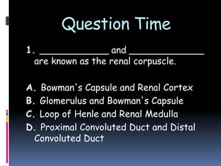 Question Time
1. ____________ and _____________
are known as the renal corpuscle.
A. Bowman's Capsule and Renal Cortex
B. Glomerulus and Bowman's Capsule
C. Loop of Henle and Renal Medulla
D. Proximal Convoluted Duct and Distal
Convoluted Duct
 