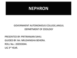 NEPHRON
GOVERNMENT AUTONOMOUS COLLEGE,ANGUL
DEPARTMENT OF ZOOLOGY
PRESENTED BY: PRITIRANJAN SAHU.
GUIDED BY: Mr. NRUSHINGHA BEHERA.
ROLL No.: 20ZOO044.
UG 3rd YEAR.
 