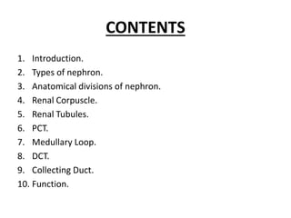 NEPHRON.pptx