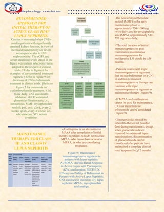 RECOMMENDED
APPROACH FOR
INITIAL THERAPY OF
ACTIVE CLASS III/IV
LUPUS NEPHRITIS.
Caution is warranted when CNI is
used in patients with significantly
impaired kidney function, in view of
increased susceptibility for severe
consequences due to CNI
nephrotoxicity. The eGFR and
serum creatinine levels stated in the
figure were patient selection criteria
adopted in the respective clinical
trials. †Refer to Figure 6 for
examples of corticosteroid treatment
regimen. ‡Refer to Figure 9 for
durations of CNI or belimumab
treatment in clinical trials. §Refer to
Figure 7 for comments on
cyclophosphamide regimens. b.i.d.,
twice daily. CNI, calcineurin
inhibitors; eGFR, estimated
glomerular filtration rate; i.v.,
intravenous; MMF, mycophenolate
mofetil; p.o., oral; q2wk, every 2
weeks; q4wk, every 4 weeks; s.c.,
subcutaneous; SCr, serum
creatinine.
-The dose of mycophenolate
mofetil (MMF) in the early
maintenance phase is
approximately 750–1000 mg
twice daily, and for mycophelolic
acid (MPA), approximately 540–
720 mg twice daily.
- The total duration of initial
immunosuppression plus
combination maintenance
immunosuppression for
proliferative LN should be ≥36
months.
- Patients treated with triple
immunosuppressive regimens
that include belimumab or a CNI
in addition to standard
immunosuppressive therapy can
continue with triple
immunosuppressive regimen as
maintenance therapy (Figure 9).
-If MPAA and azathioprine
cannot be used for maintenance,
CNIs or mizoribine or
leflunomide can be considered
(Figure 9).
-Glucocorticoids should be
tapered to the lowest possible
dose during maintenance, except
when glucocorticoids are
required for extrarenal lupus
manifestations; discontinuation
of glucocorticoids can be
considered after patients have
maintained a complete clinical
renal response for ≥12 months
MAINTENANCE
THERAPY FOR CLASS
III AND CLASS IV
LUPUS NEPHRITIS
-Azathioprine is an alternative to
MPAA after completion of initial
therapy in patients who do not tolerate
MPAA, who do not have access to
MPAA, or who are considering
pregnancy.
Figure 9 | Maintenance
immunosuppressive regimens in
patients with lupus nephritis.
AURORA, Aurinia Renal Response
in Active Lupus with Voclosporin;
AZA, azathioprine; BLISS-LN,
Efficacy and Safety of Belimumab in
Patients with Active Lupus Nephritis;
CNI, calcineurin inhibitor; LN, lupus
nephritis; MPAA, mycophenolate
acid analogs.
N e p h r o l o g y n e w s l e t t e r
 