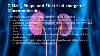 7.Size , Shape and Electrical charge of
Macromolecules
• Molecule size determines the filterability of the substance
o Any substance having molecular weight less than 10000 can be freely filtered by
glomerular filtration barrier and molecules having weight more than 10000 have
restricted filterability
o Most of the protein in plasma are larger molecules and therefore can not be
filtered
o Slender and supple molecules can easily pass through than the spherical and
rigid molecules
o Molecules with negative charge can’t easily filtered because all the three layers
of glomerular filtration is negatively charged
 