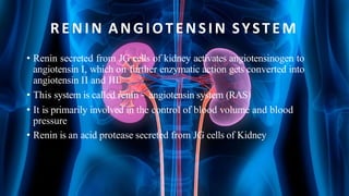 RENIN ANGIOTENSIN SYSTEM
• Renin secreted from JG cells of kidney activates angiotensinogen to
angiotensin I, which on further enzymatic action gets converted into
angiotensin II and III
• This system is called renin – angiotensin system (RAS)
• It is primarily involved in the control of blood volume and blood
pressure
• Renin is an acid protease secreted from JG cells of Kidney
 