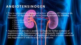 ANGIOTENSINOGEN
• This is a glycoprotein synthesized in liver. It contains 453 amino acids.
The conc. of angiotensinogen in the plasma increases by following
hormones
o Glucocorticoids
o Thyroid hormone
o Estrogen
o Cytokines
o Angiotensin II
• Angiotensin II provides a positive feedback for further synthesis of
angiotensinogen. Angiotensinogen is physiologically inactive and act as
precursor for the formation of Angiotensin I which is further converted
into Angiotensin II with the help of ACE enzyme.
 