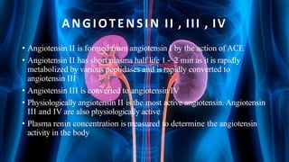 ANGIOTENSIN II , III , IV
• Angiotensin II is formed from angiotensin I by the action of ACE
• Angiotensin II has short plasma half life 1 – 2 min as it is rapidly
metabolized by various peptidases and is rapidly converted to
angiotensin III
• Angiotensin III is converted to angiotensin IV
• Physiologically angiotensin II is the most active angiotensin. Angiotensin
III and IV are also physiologically active
• Plasma renin concentration is measured to determine the angiotensin
activity in the body
 
