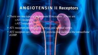 ANGIOTENSIN II Receptors
• There are two types of angiotensin II receptors . These are
oAT1 receptors
oAT2 receptors
• AT1 receptors are present in arteries and adrenal cortex
• AT2 receptors are attached to G proteins that increases the intracellular
cGMP.
 
