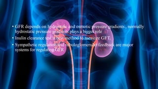 • GFR depends on hydrostatic and osmotic pressure gradients , normally
hydrostatic pressure gradients plays a bigger role
• Inulin clearance test is best method to measure GFT.
• Sympathetic regulation and tubuloglomerular feedback are major
systems for regulating GFR
 