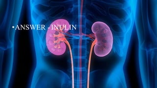 •ANSWER - INULIN
 