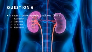 QUESTION 6
• In a normal person at resting conditions , GFR is
1. 125ml/min
2. 90ml/min
3. 60 ml/min
4. 150ml/min
 