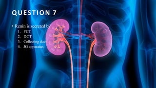 QUESTION 7
• Renin is secreted by
1. PCT
2. DCT
3. Collecting duct
4. JG apparatus
 