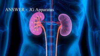 ANSWER – JG Apparatus
 
