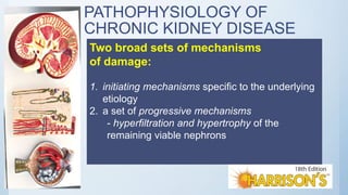 PATHOPHYSIOLOGY OF
CHRONIC KIDNEY DISEASE
Two broad sets of mechanisms
of damage:
1. initiating mechanisms specific to the underlying
etiology
2. a set of progressive mechanisms
- hyperfiltration and hypertrophy of the
remaining viable nephrons
 