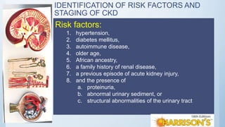 IDENTIFICATION OF RISK FACTORS AND
STAGING OF CKD
Risk factors:
1. hypertension,
2. diabetes mellitus,
3. autoimmune disease,
4. older age,
5. African ancestry,
6. a family history of renal disease,
7. a previous episode of acute kidney injury,
8. and the presence of
a. proteinuria,
b. abnormal urinary sediment, or
c. structural abnormalities of the urinary tract
 