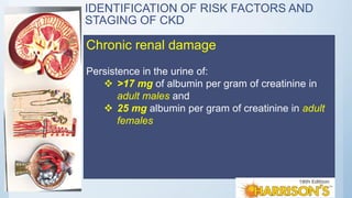 IDENTIFICATION OF RISK FACTORS AND
STAGING OF CKD
Chronic renal damage
Persistence in the urine of:
 >17 mg of albumin per gram of creatinine in
adult males and
 25 mg albumin per gram of creatinine in adult
females
 