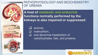 PATHOPHYSIOLOGY AND BIOCHEMISTRY
OF UREMIA
A host of metabolic and endocrine
functions normally performed by the
kidneys is also impaired or suppressed:
 anemia,
 malnutrition,
 and abnormal metabolism of
carbohydrates, fats, and proteins
 