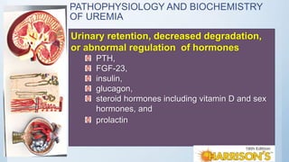 PATHOPHYSIOLOGY AND BIOCHEMISTRY
OF UREMIA
Urinary retention, decreased degradation,
or abnormal regulation of hormones
PTH,
FGF-23,
insulin,
glucagon,
steroid hormones including vitamin D and sex
hormones, and
prolactin
 