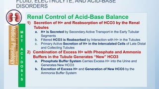 FLUID, ELECTROLYTE, AND ACID-BASE
DISORDERS
Renal Control of Acid-Base Balance
1) Secretion of H+ and Reabsorption of HCO3 by the Renal
Tubules
a. H+ is Secreted by Secondary Active Transport in the Early Tubular
Segments
b. Filtered HCO3 is Reabsorbed by Interaction with H+ in the Tubules
c. Primary Active Secretion of H+ in the Intercalated Cells of Late Distal
and Collecting Tubules
2) Combination of Excess H+ with Phosphate and Ammonia
Buffers in the Tubule Generates “New” HCO3
a. Phosphate Buffer System Carries Excess H+ into the Urine and
Generates New HCO3
b. Excretion of Excess H+ and Generation of New HCO3 by the
Ammonia Buffer System
M
E
T
A
C
I
D
O
S
I
S
 