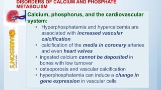 DISORDERS OF CALCIUM AND PHOSPHATE
METABOLISM
Calcium, phosphorus, and the cardiovascular
system:
• Hyperphosphatemia and hypercalcemia are
associated with increased vascular
calcification
• calcification of the media in coronary arteries
and even heart valves
• ingested calcium cannot be deposited in
bones with low turnover
• osteoporosis and vascular calcification
• hyperphosphatemia can induce a change in
gene expression in vascular cells
 