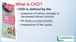 What is CKD?
• CKD is defined by the
–presence of kidney damage or
decreased kidney function
–for three or more months,
–irrespective of the cause.
 